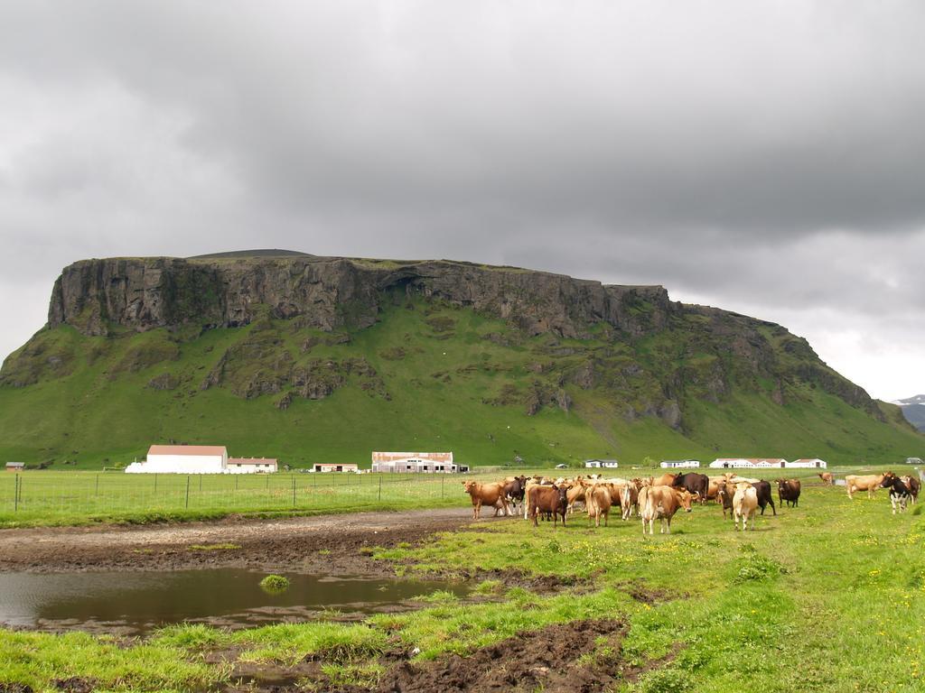 VESTRI PETURSEY (Iceland) - from £ 313 | HOTELMIX